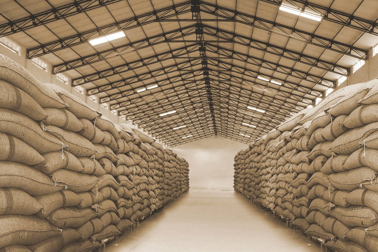 MEDINO Operations Warehouse