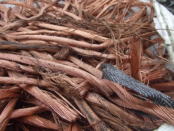 Copper Scrap Berry Candy