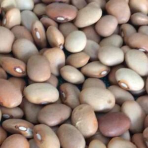 CREAM BEANS