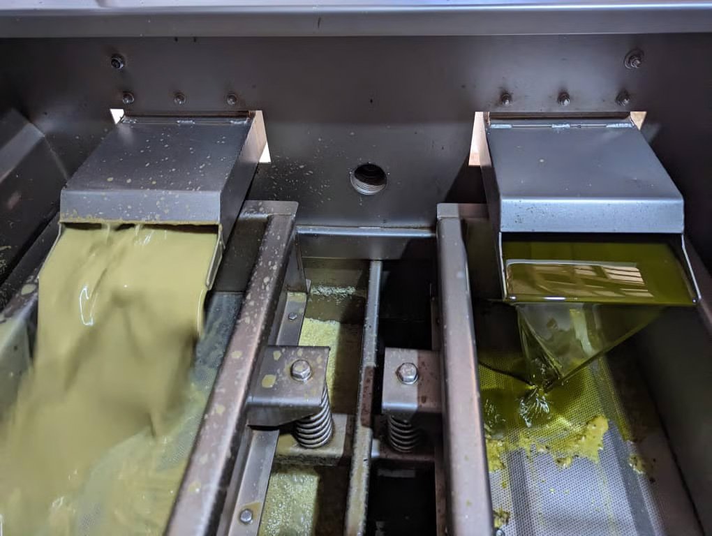 Crude avocado oil