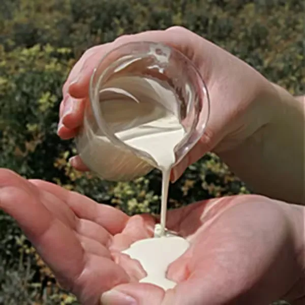 Latex Natural rubber HA 60% DRC liquid latex raw material barrel