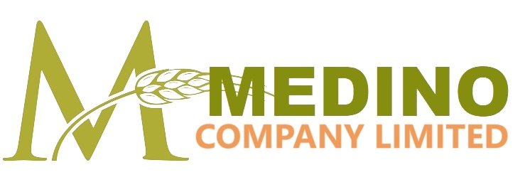 MEDINO CO LTD