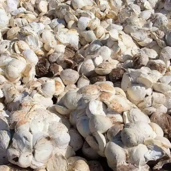 Natural cup lump rubber 70% DRC top-quality rubber product from Tanzania