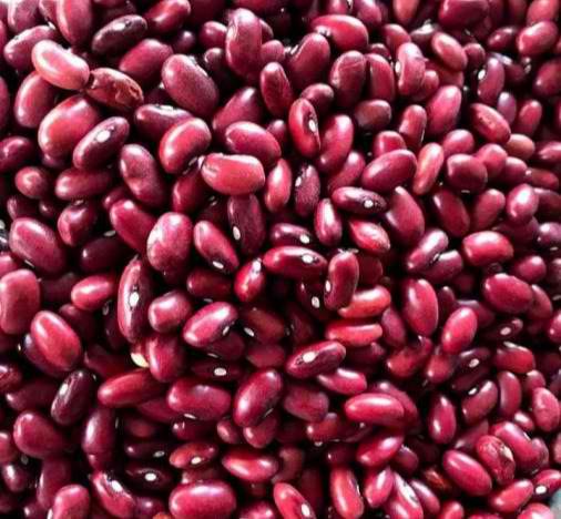 RED KIDENY BEANS