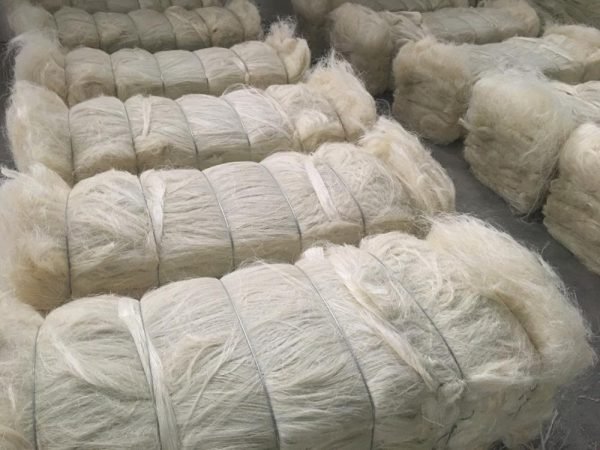 Sisal Fiber Grade 3L(3 Long)