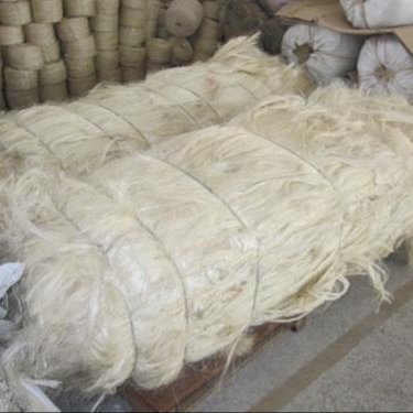 UG Grade A Sisal Fibre